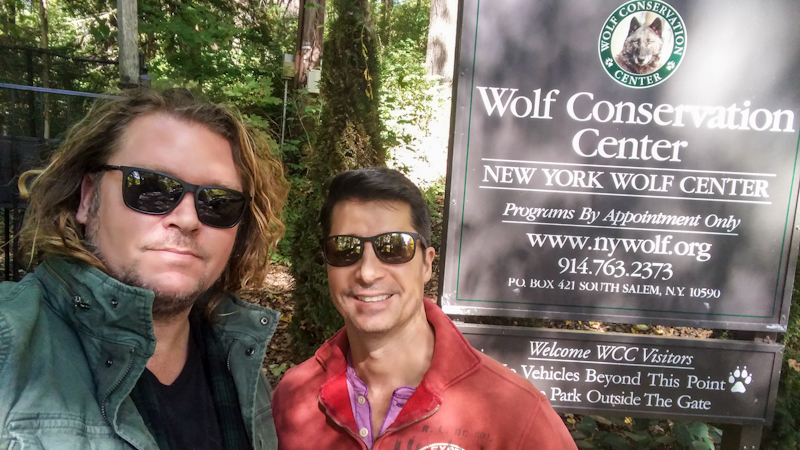 The author and friend at The Wolf Conservation Center in Hudson Valley, New York, a hidden gem with appointments-only visits.