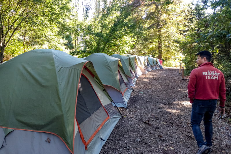 With many immersive and educational programs and events, Sleeping with the Wolves is an exciting favorite.