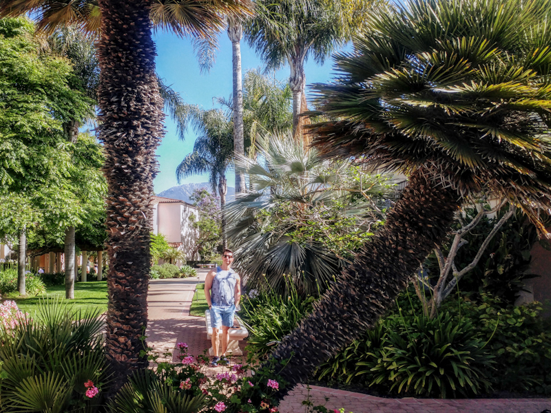 Plenty of nooks to enjoy nature on the grounds at Hilton’s Beachfront Resort.