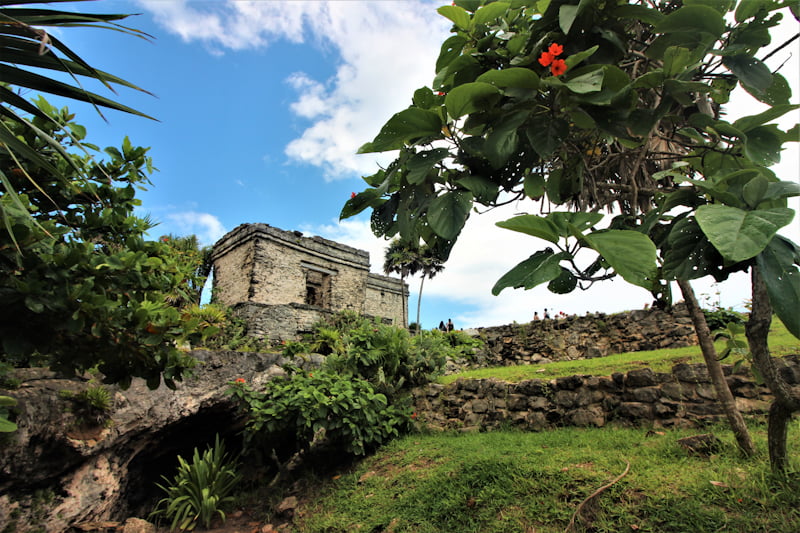 A day going rogue with a new camera in Tulum's Archeological Zone.