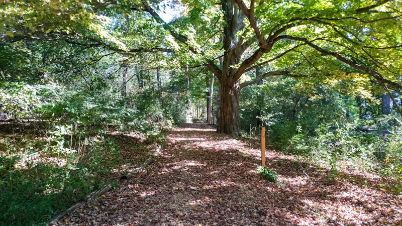 Wolf Conservation grounds offer a day of nature hiking.