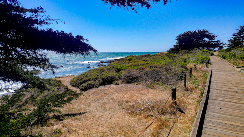 Moonstone Beach offers up the classic California coast experience with great hiking, too!