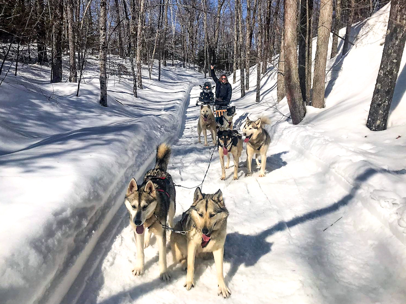 Christopher Ludgate, dogsledding in the wilderness around Quebec's Lake Sacacomie.
