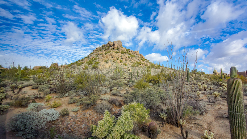 A photographer's paradise, the landscape of Paradise Valley is also a great place to take in some solace.