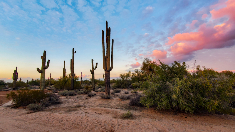 Those classic Arizona sunsets are one of nature's great gifts. Photo: Christopher Ludgate