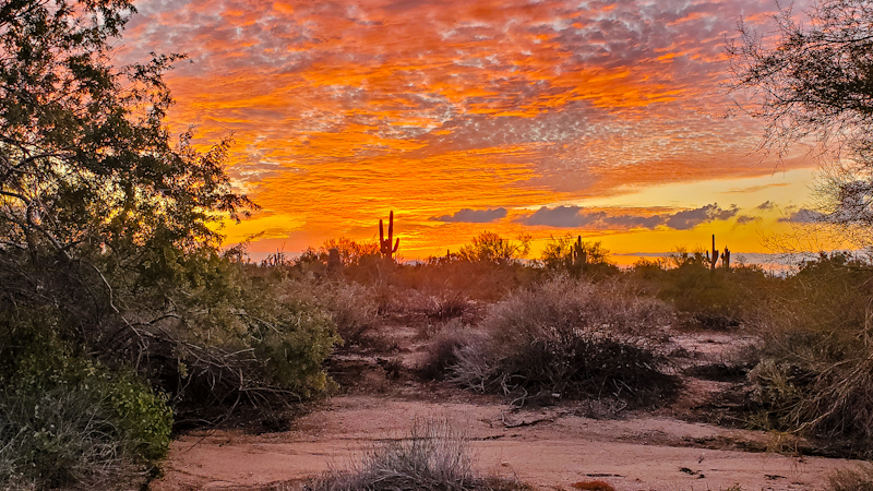 A hike in the Sonoran Desert is a relaxing time to take in those Western sunsets.