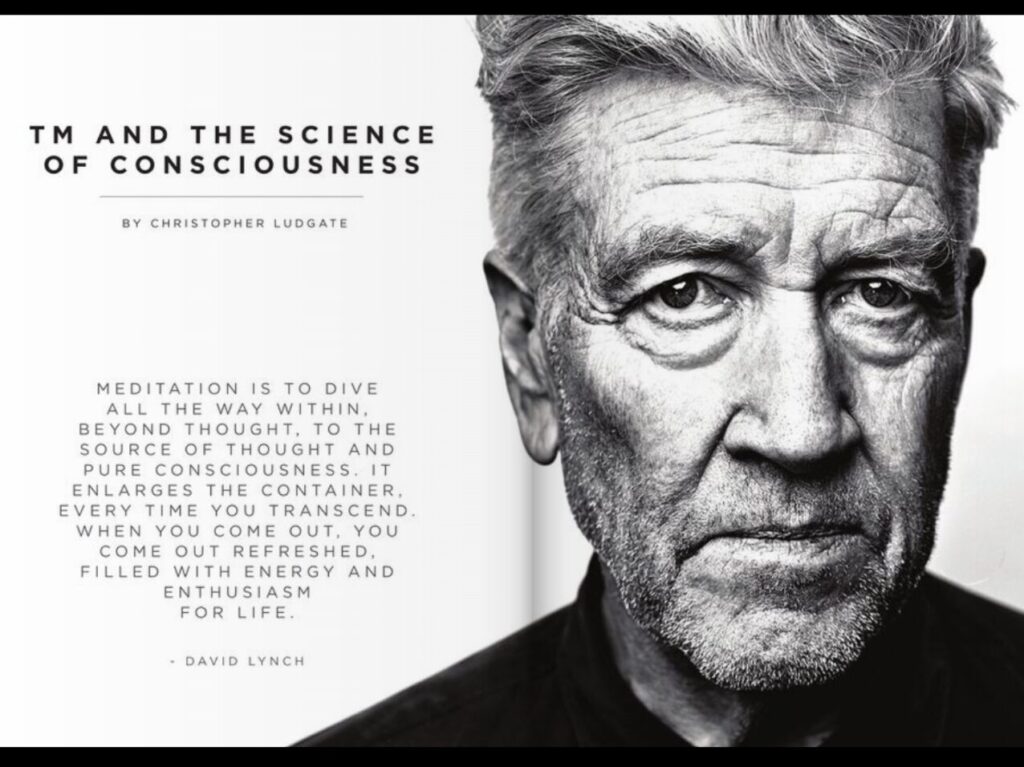 TM & the Science of Consciousness from Wander Magazine's Wanderlust Issue Story Christopher Ludgate