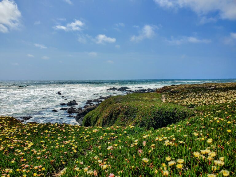 20250503_151548-EDIT