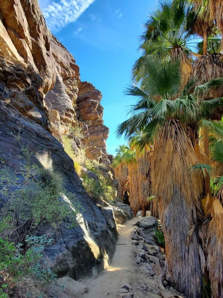Great hikes in Indian Canyon in Palm Springs. Photo C. Ludgate