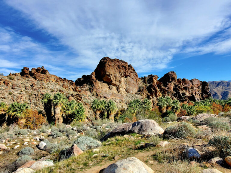 Striking views on a hike in Indian Canyons C_edited