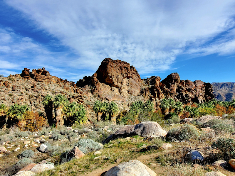 Striking views on a hike in Indian Canyons C_edited